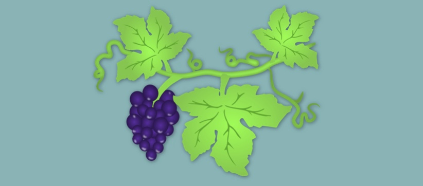 A Good Pruning Brings New&nbsp;Life